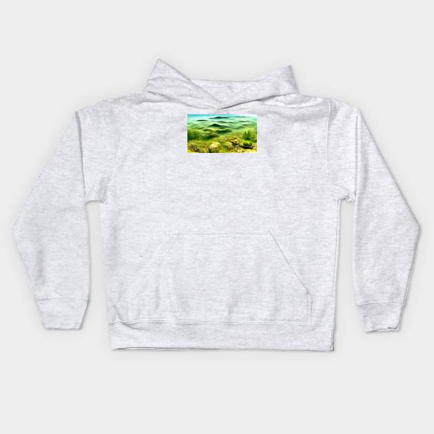 Underwater Landscape Vista Kids Hoodie by tdraw